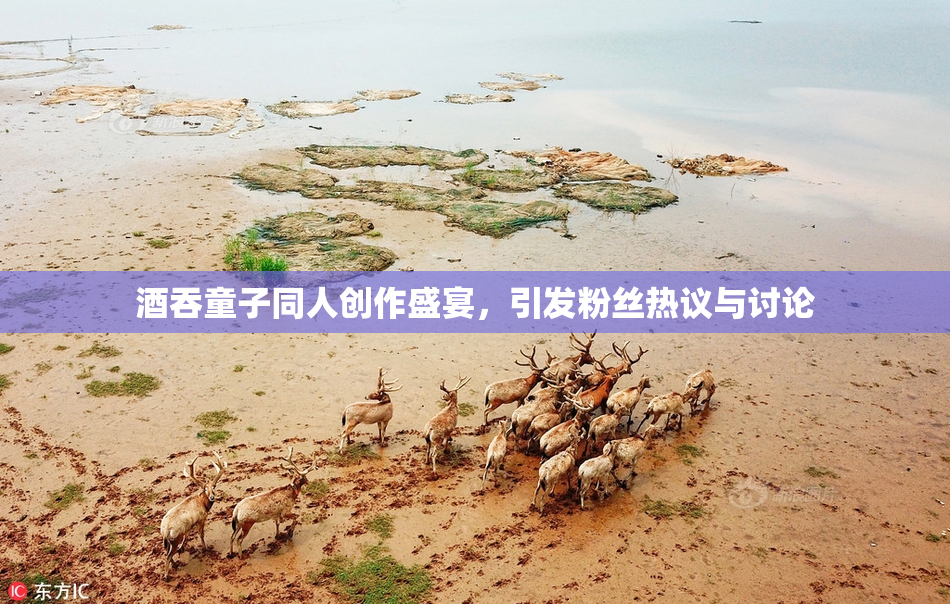 酒吞童子同人创作盛宴，引发粉丝热议与讨论
