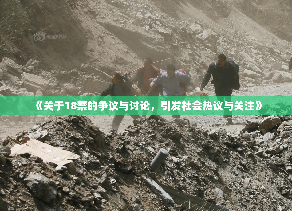《关于18禁的争议与讨论，引发社会热议与关注》