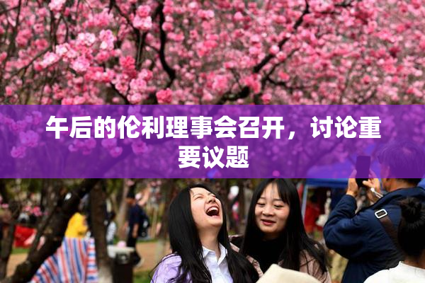 午后的伦利理事会召开，讨论重要议题