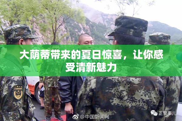 大荫蒂带来的夏日惊喜，让你感受清新魅力
