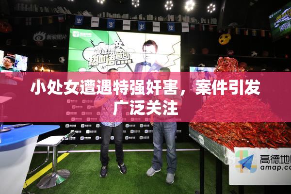 小处女遭遇特强奸害，案件引发广泛关注