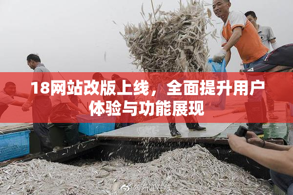 18网站改版上线，全面提升用户体验与功能展现