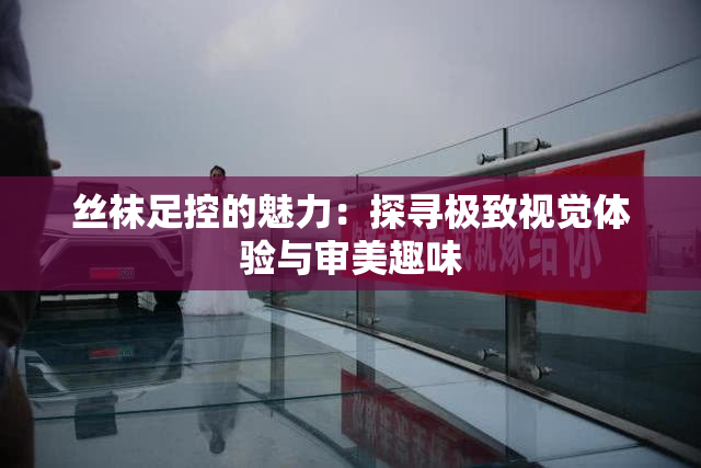 丝袜足控的魅力：探寻极致视觉体验与审美趣味