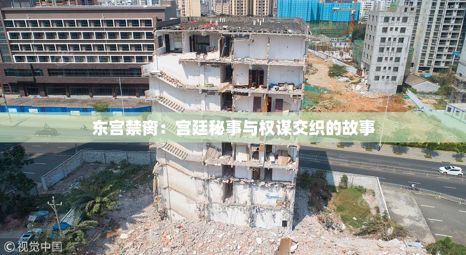 东宫禁脔：宫廷秘事与权谋交织的故事