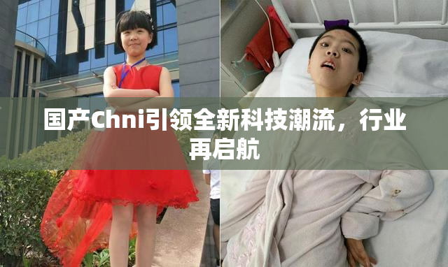 国产Chni引领全新科技潮流，行业再启航