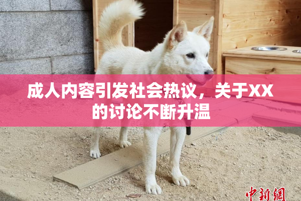 成人内容引发社会热议，关于XX的讨论不断升温