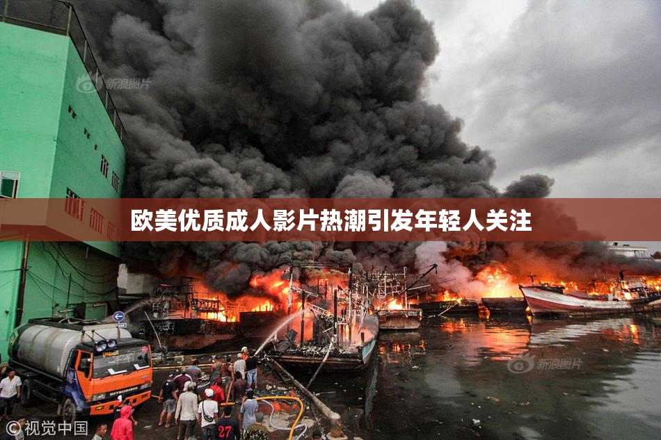欧美优质成人影片热潮引发年轻人关注