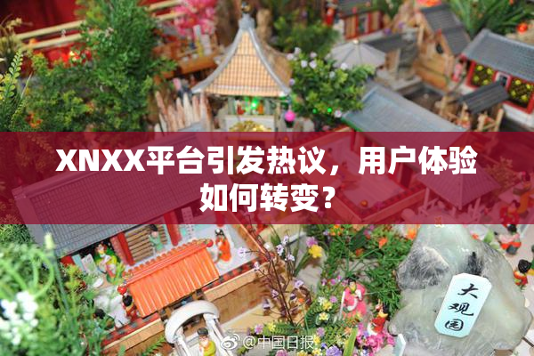 XNXX平台引发热议，用户体验如何转变？