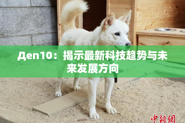 Дen10：揭示最新科技趋势与未来发展方向