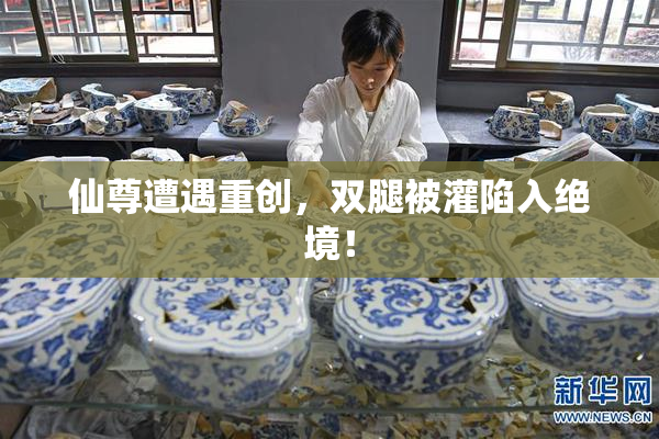 仙尊遭遇重创，双腿被灌陷入绝境！
