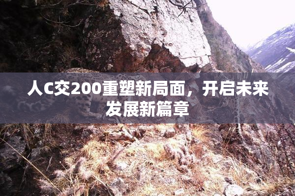 人C交200重塑新局面，开启未来发展新篇章