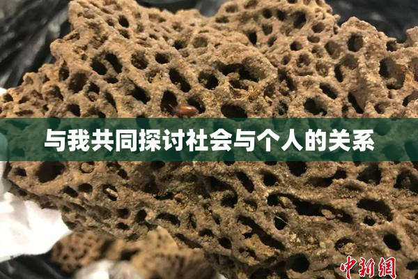 与我共同探讨社会与个人的关系