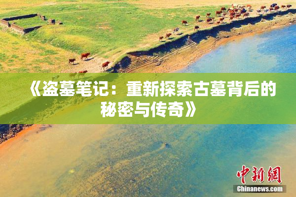 《盗墓笔记：重新探索古墓背后的秘密与传奇》