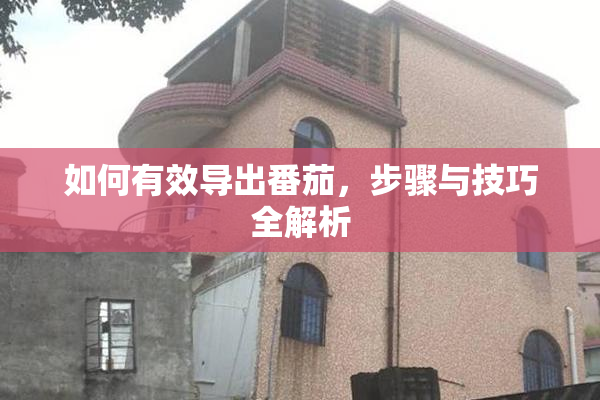 如何有效导出番茄，步骤与技巧全解析
