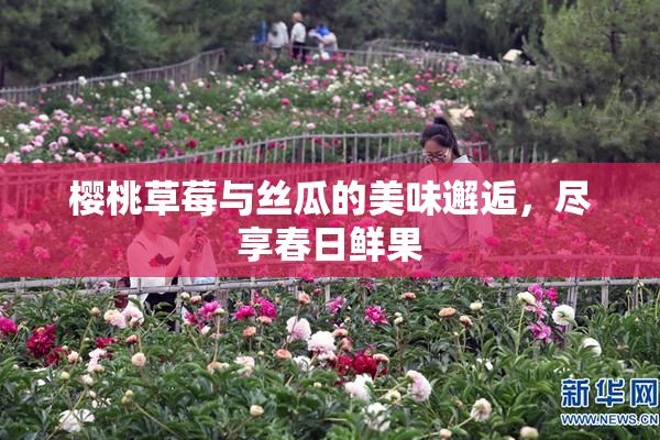 樱桃草莓与丝瓜的美味邂逅，尽享春日鲜果
