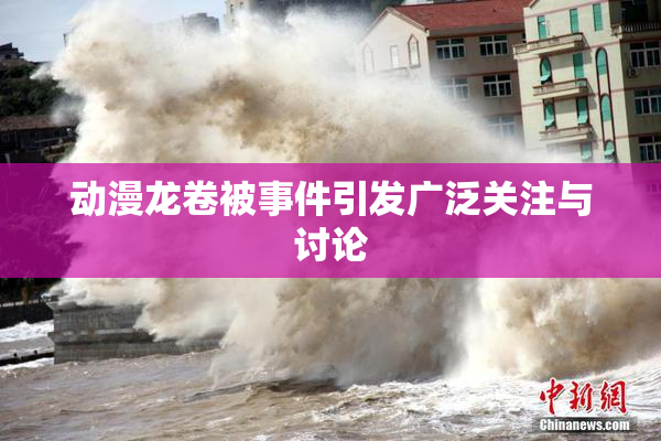 动漫龙卷被事件引发广泛关注与讨论