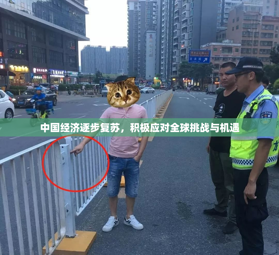 中国经济逐步复苏，积极应对全球挑战与机遇
