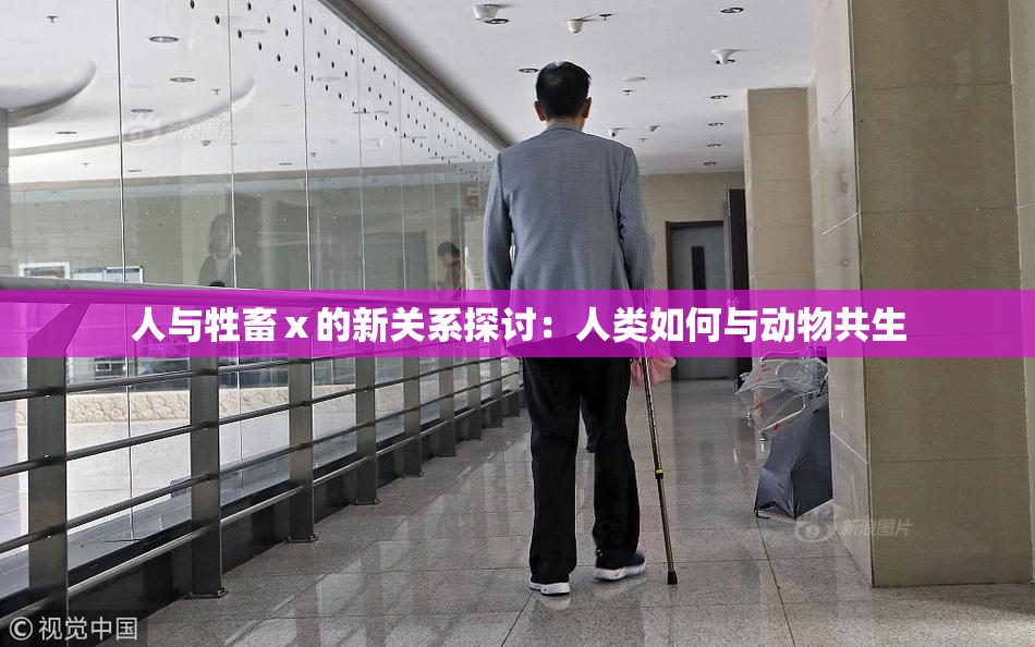 人与牲畜ⅹ的新关系探讨：人类如何与动物共生