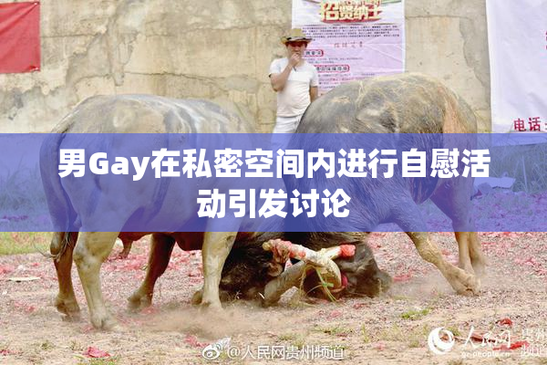 男Gay在私密空间内进行自慰活动引发讨论