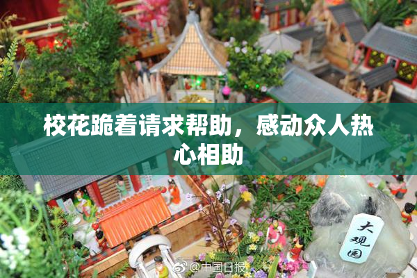 校花跪着请求帮助，感动众人热心相助
