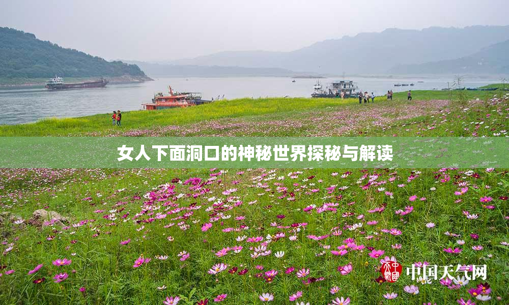 女人下面洞口的神秘世界探秘与解读