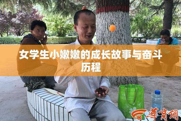 女学生小嫩嫩的成长故事与奋斗历程