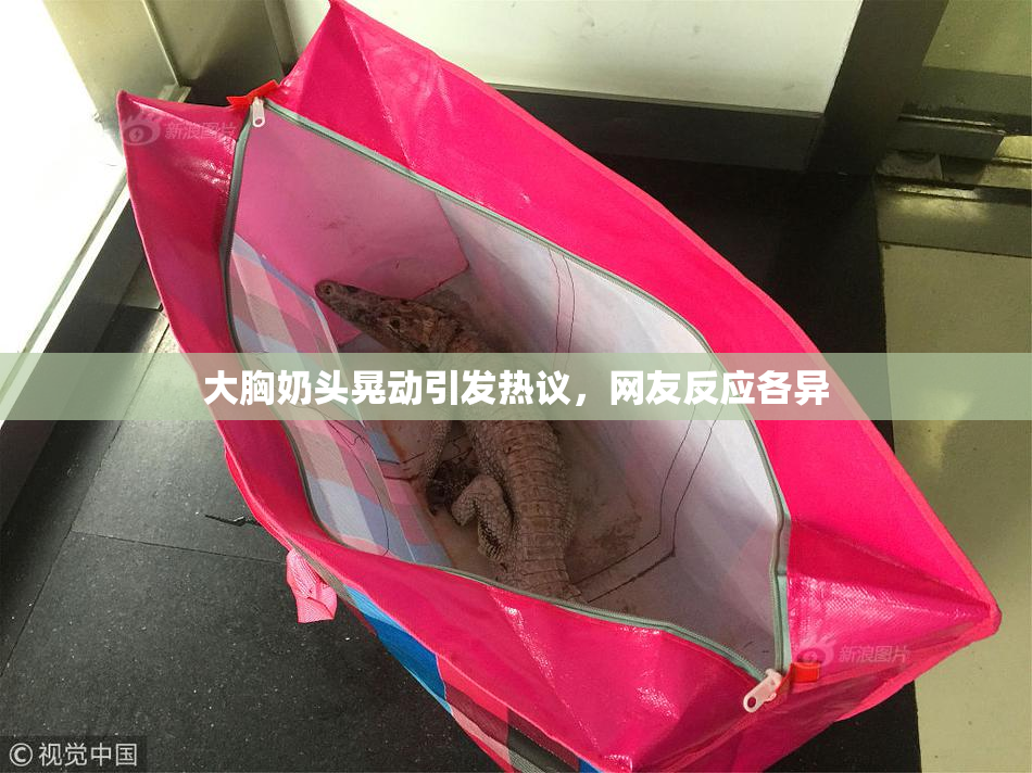 大胸奶头晃动引发热议，网友反应各异