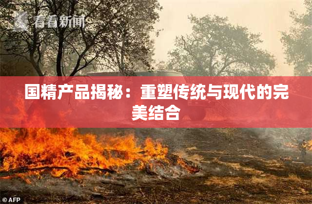 国精产品揭秘：重塑传统与现代的完美结合