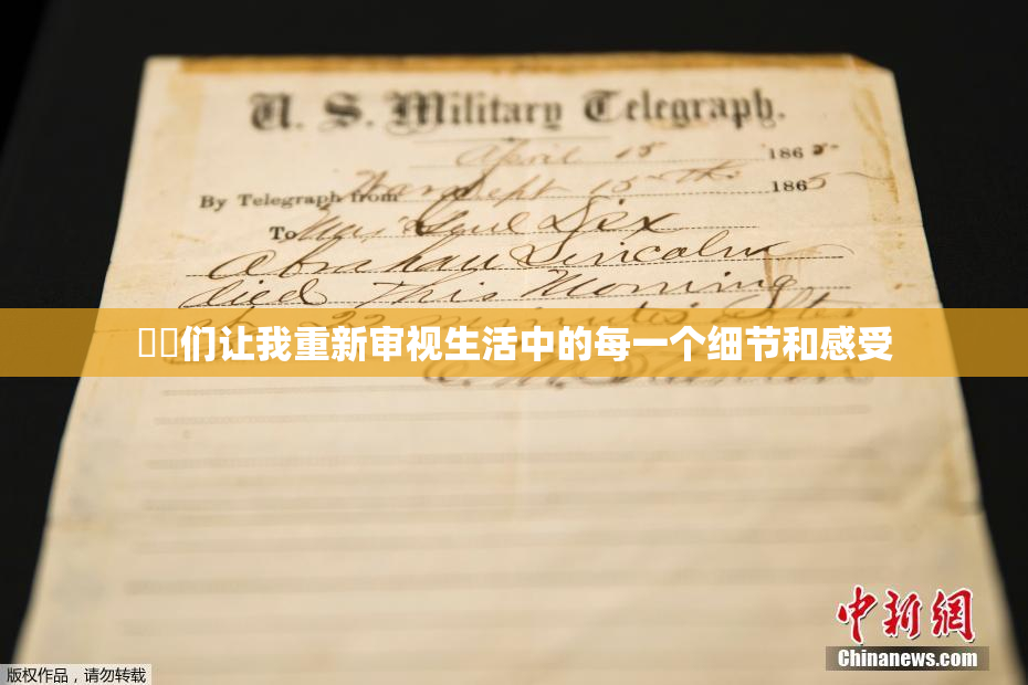 妺妺们让我重新审视生活中的每一个细节和感受