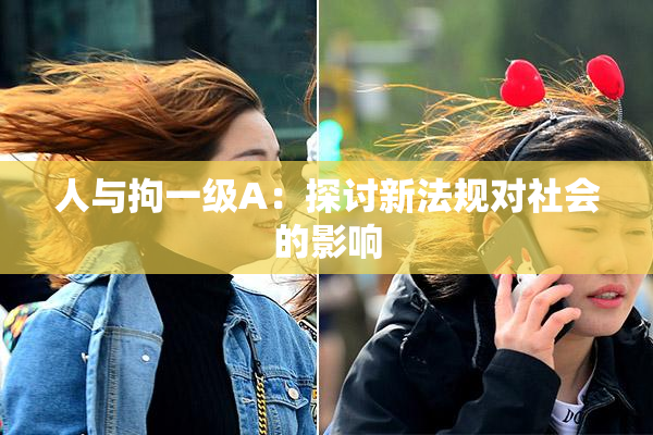 人与拘一级A：探讨新法规对社会的影响