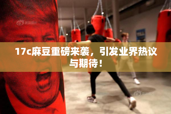 17c麻豆重磅来袭，引发业界热议与期待！