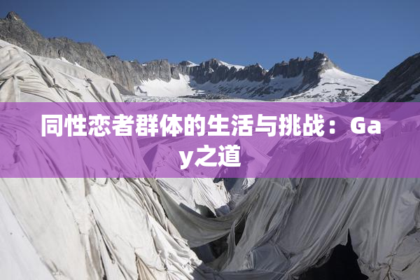 同性恋者群体的生活与挑战：Gay之道