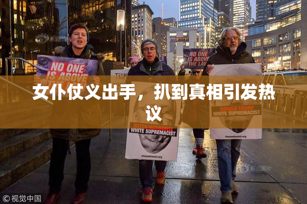 女仆仗义出手，扒到真相引发热议