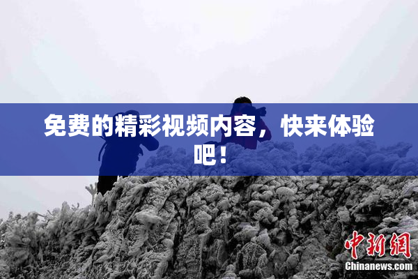 免费的精彩视频内容，快来体验吧！