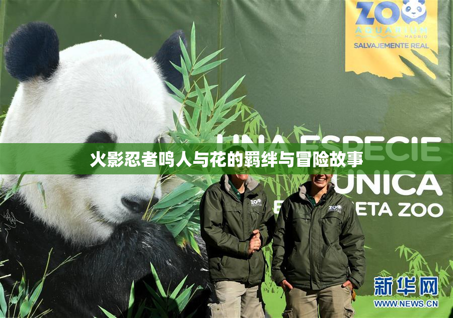 火影忍者鸣人与花的羁绊与冒险故事