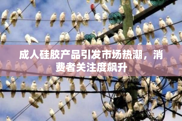 成人硅胶产品引发市场热潮，消费者关注度飙升