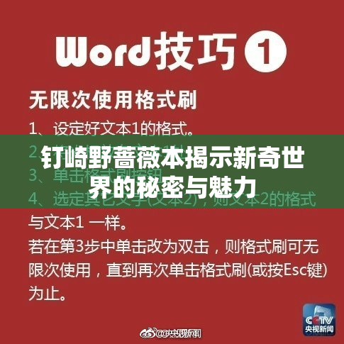 钉崎野蔷薇本揭示新奇世界的秘密与魅力