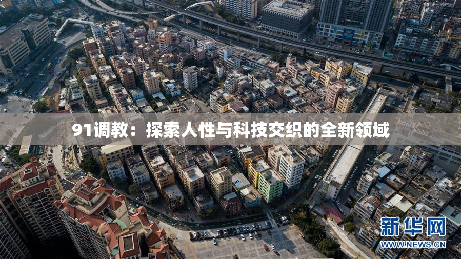 91调教：探索人性与科技交织的全新领域