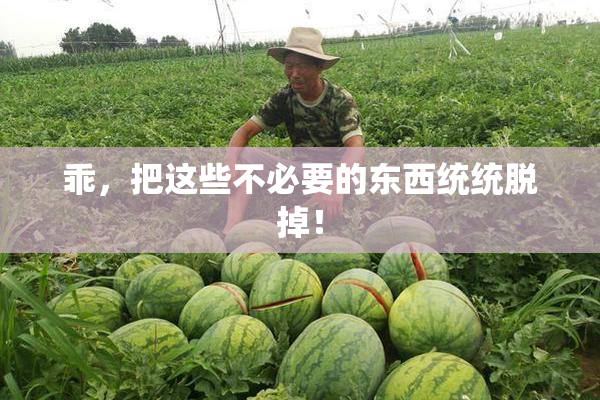 乖，把这些不必要的东西统统脱掉！