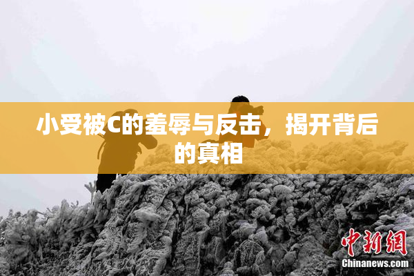 小受被C的羞辱与反击，揭开背后的真相