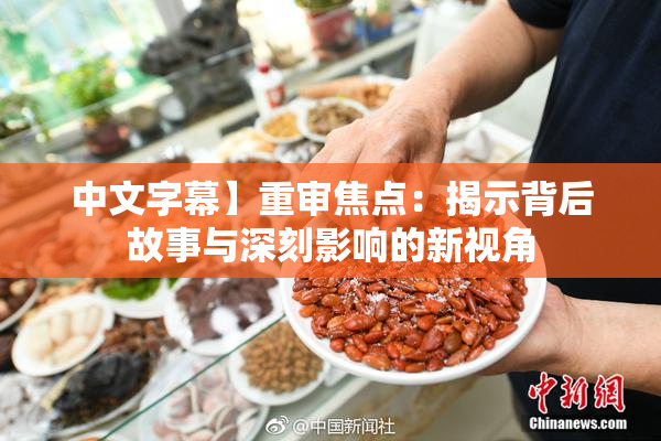 中文字幕】重审焦点：揭示背后故事与深刻影响的新视角