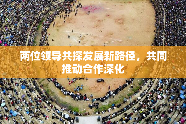 两位领导共探发展新路径，共同推动合作深化