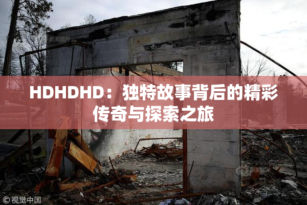 HDHDHD：独特故事背后的精彩传奇与探索之旅