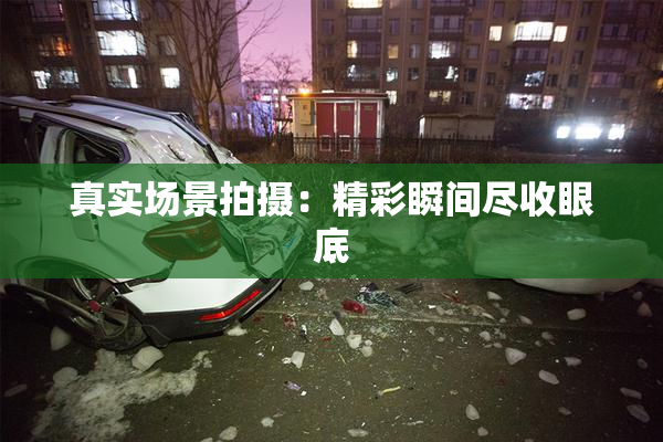 真实场景拍摄：精彩瞬间尽收眼底