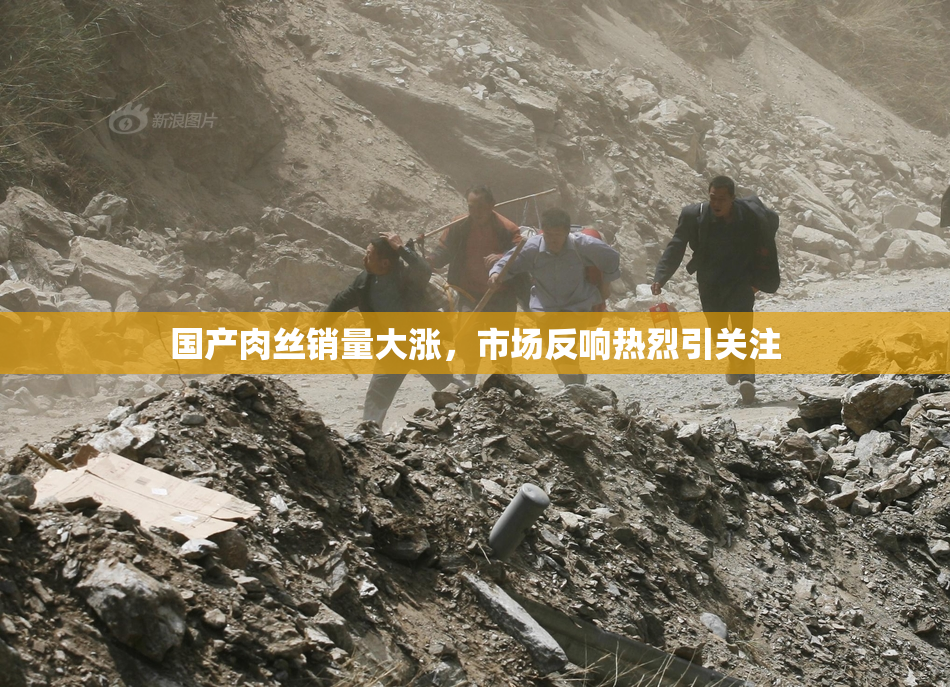 国产肉丝销量大涨，市场反响热烈引关注