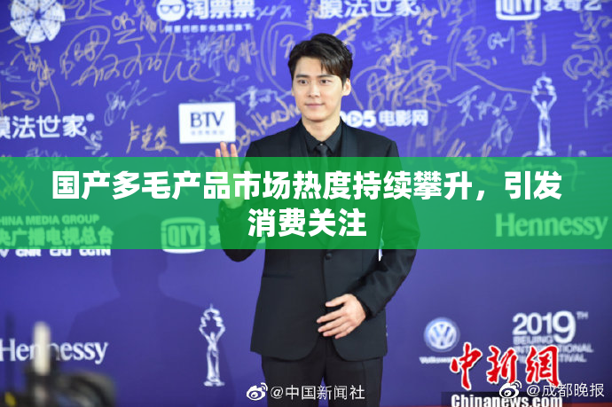 国产多毛产品市场热度持续攀升，引发消费关注