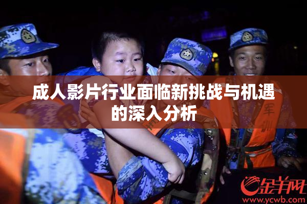 成人影片行业面临新挑战与机遇的深入分析