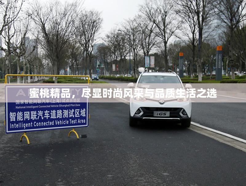 蜜桃精品，尽显时尚风采与品质生活之选