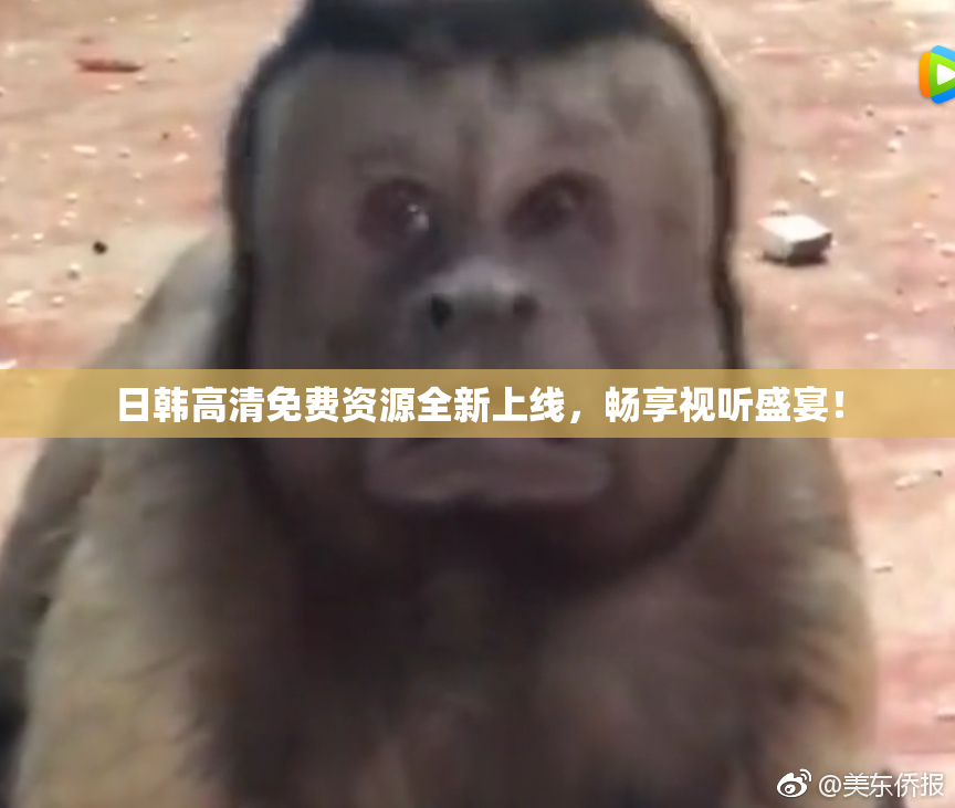 日韩高清免费资源全新上线，畅享视听盛宴！