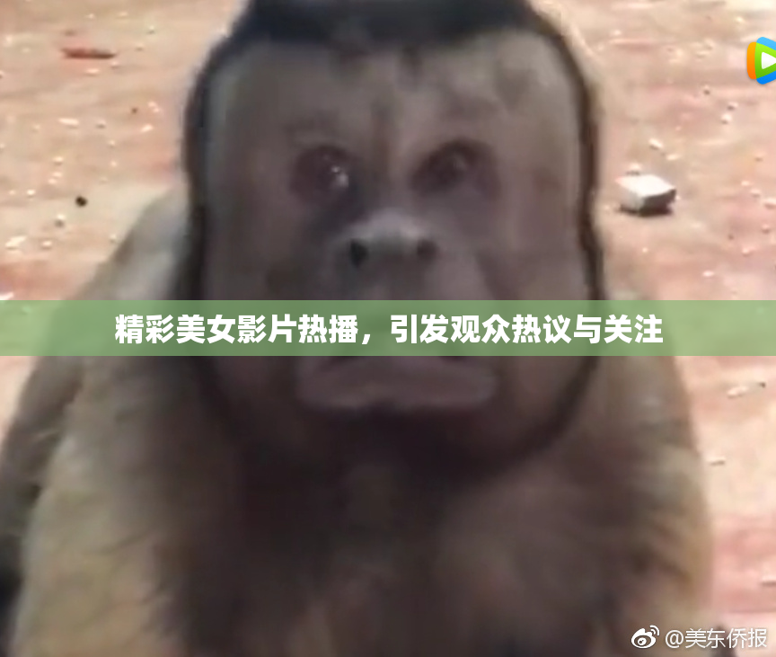 精彩美女影片热播，引发观众热议与关注